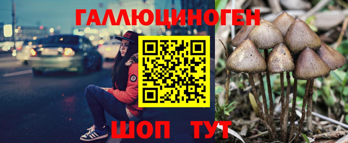 Псилоцибиновые грибы Magic Shrooms  Псилоцибиновые грибы мицелий  Кохма  Вход с VPN 